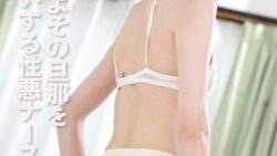 h 1462pyu00441pl