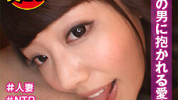 shih117jp