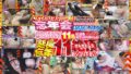 1sdjs00224pl