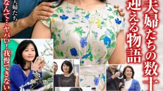 h 1515zooo00191pl