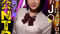 pai076jp