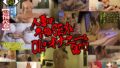 57bdsx00014pl