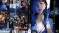 1dldss00523pl