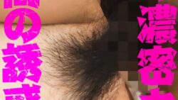 h 1454bdsr51204pl