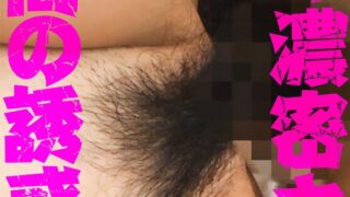 h 1454bdsr51204pl