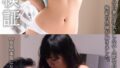 h 1787eiki00401pl